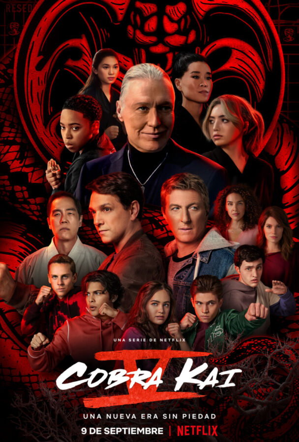 Cobra Kai Temporada 5 - Poster